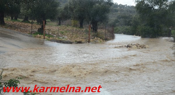 גשמי ברכה בכרמל :סרטון ותמונות